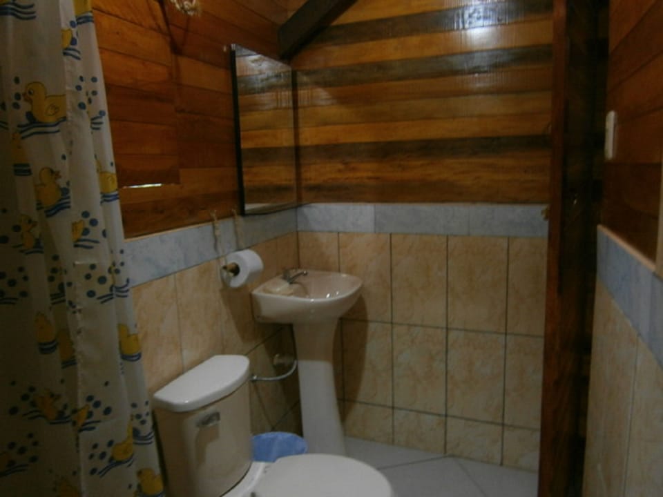 Shower, towels