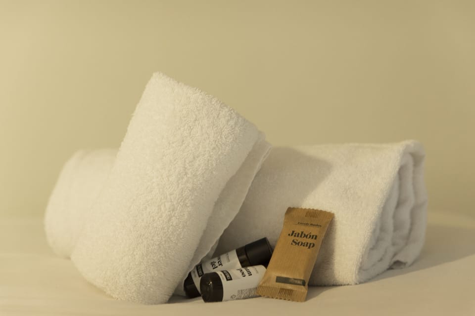 Shower, rainfall showerhead, designer toiletries, hair dryer