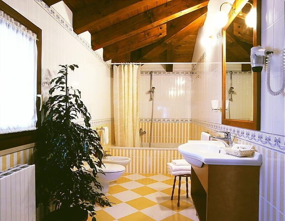 Hair dryer, bidet, towels