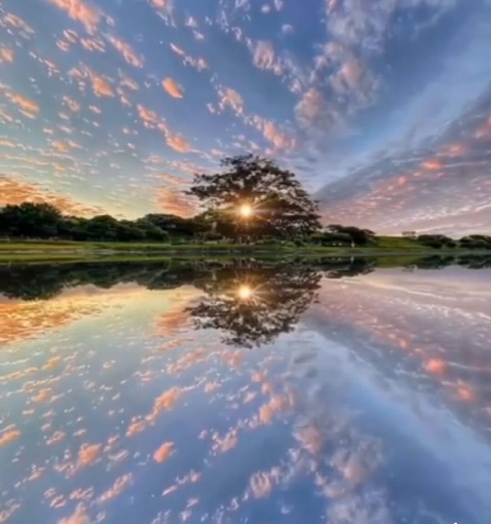 Lake view