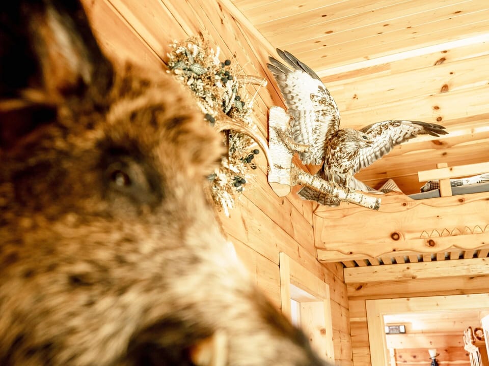 House | Interior detail