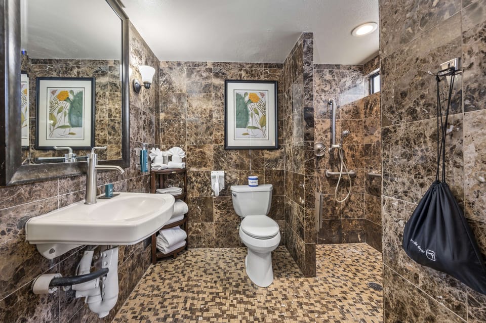 Room, 2 Queen Beds, Accessible, Non Smoking (Roll-In Shower) | Bathroom shower