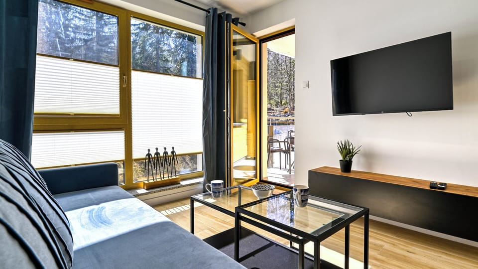 Apartment (25C) | Living area | Flat-screen TV