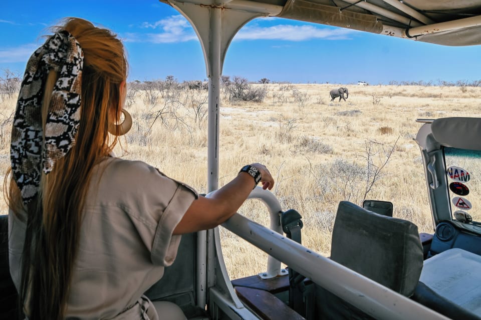 Safari