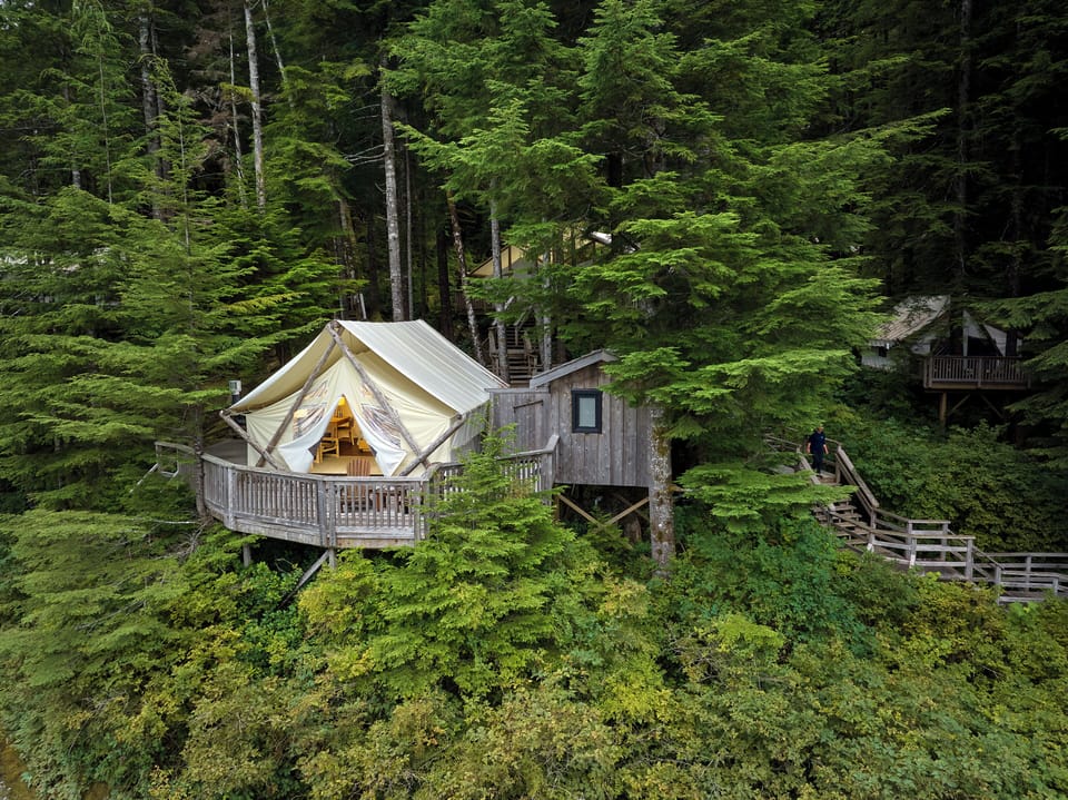 Deluxe Tent (Rainforest) | Desk, free WiFi