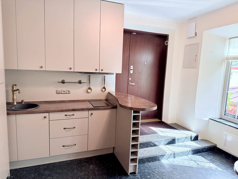 Luxury Apartment, Non Smoking, City View | Private kitchen | Full-size fridge, microwave, stovetop, cookware/dishes/utensils