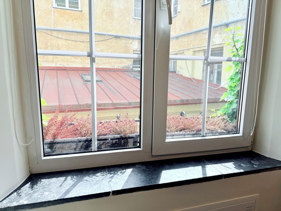 Luxury Apartment, Non Smoking, City View | Private kitchen | Full-size fridge, microwave, stovetop, cookware/dishes/utensils