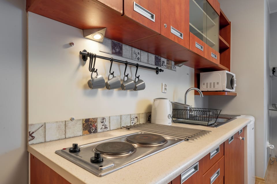 Apartment, Mountain View | Private kitchenette