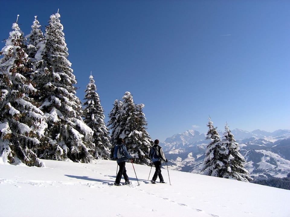 Snowshoeing