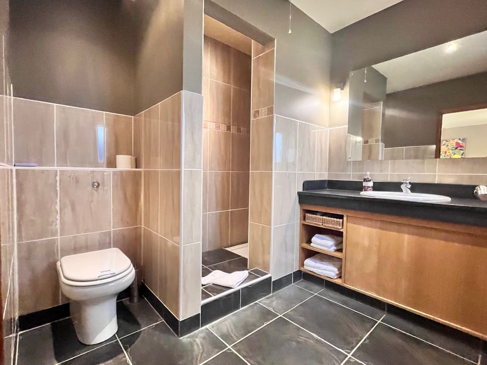 Twin Room | Bathroom | Shower, hair dryer, towels, soap
