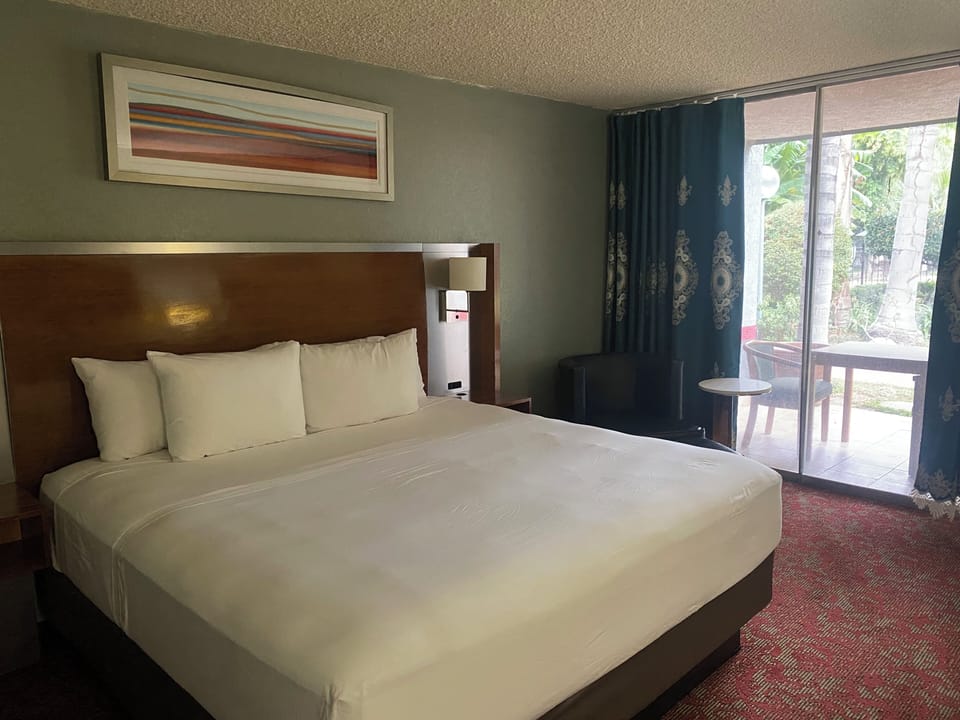 Comfort Single Room, Courtyard View | Premium bedding, desk, laptop workspace, blackout drapes