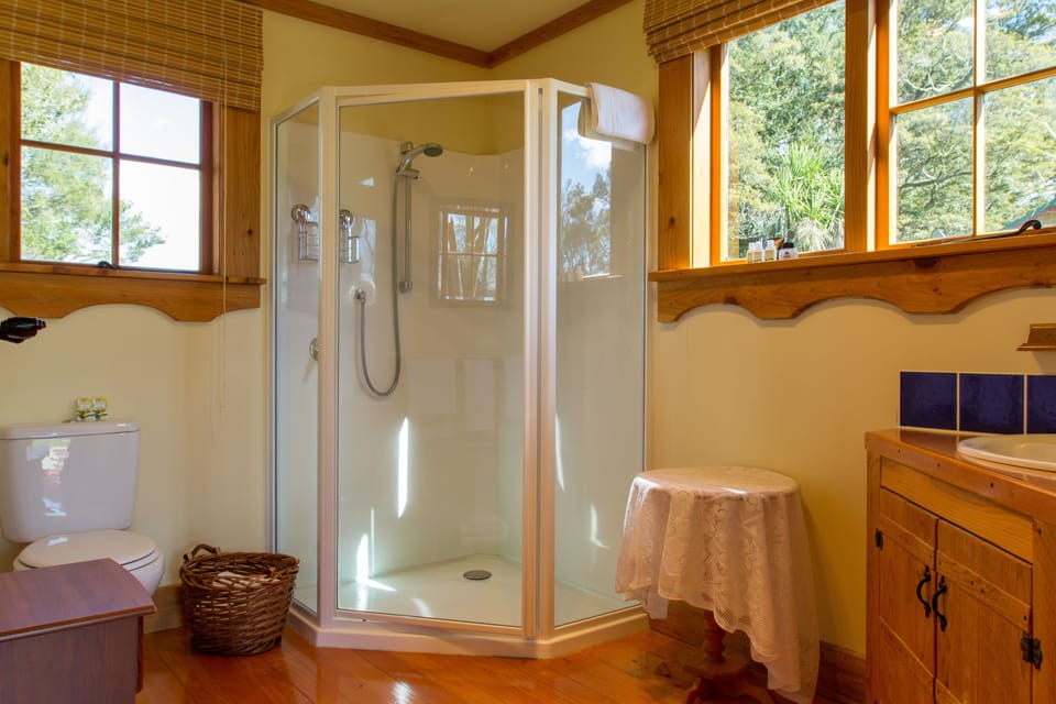 Shower, free toiletries, hair dryer, bathrobes