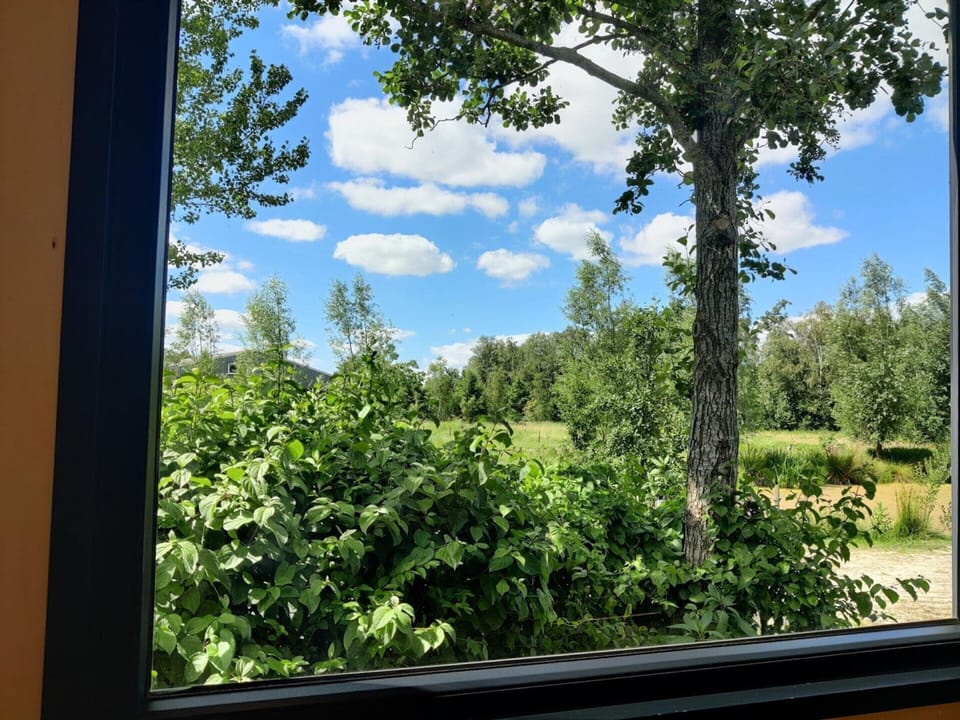 House | View from property