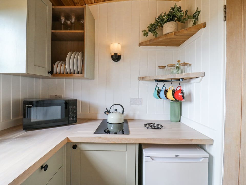 Fridge, microwave, toaster, cookware/dishes/utensils