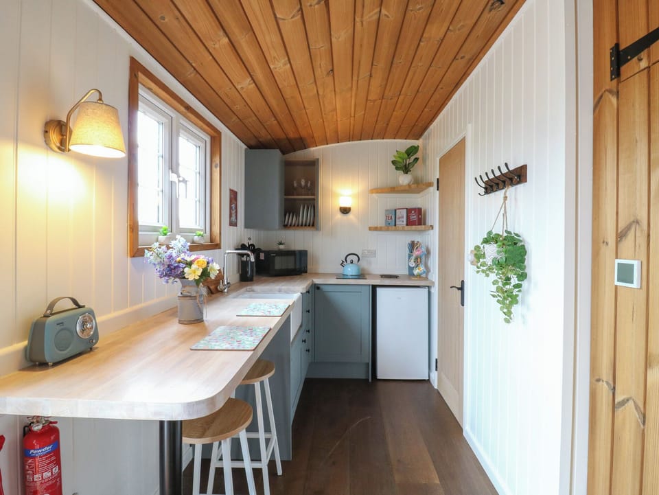 Fridge, microwave, toaster, cookware/dishes/utensils