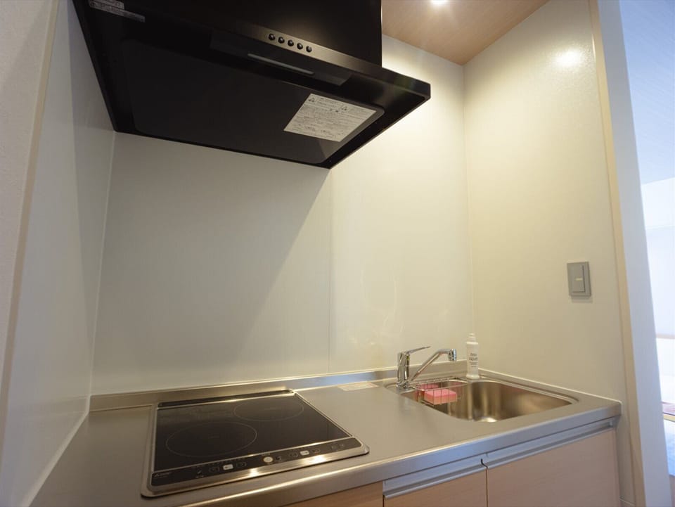 Comfort Triple Room | Private kitchen | Full-size fridge, microwave