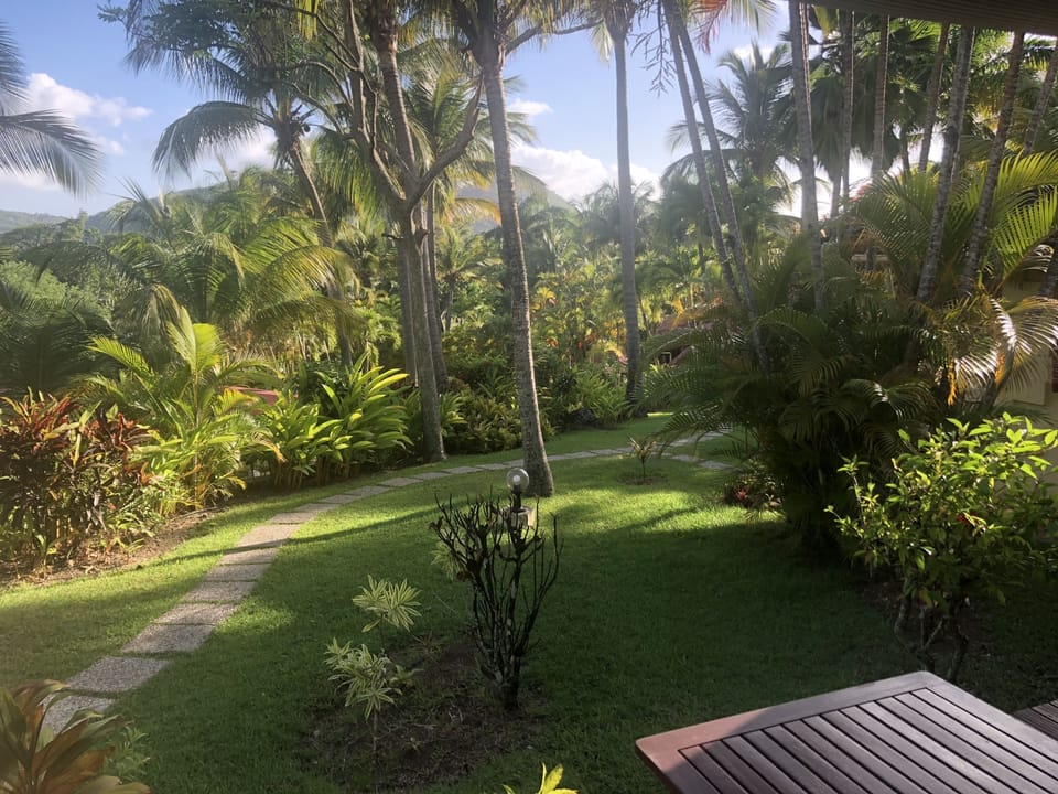 View from room