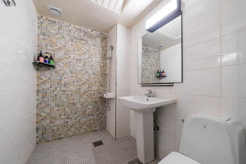 Hair dryer, towels, shampoo, toilet paper