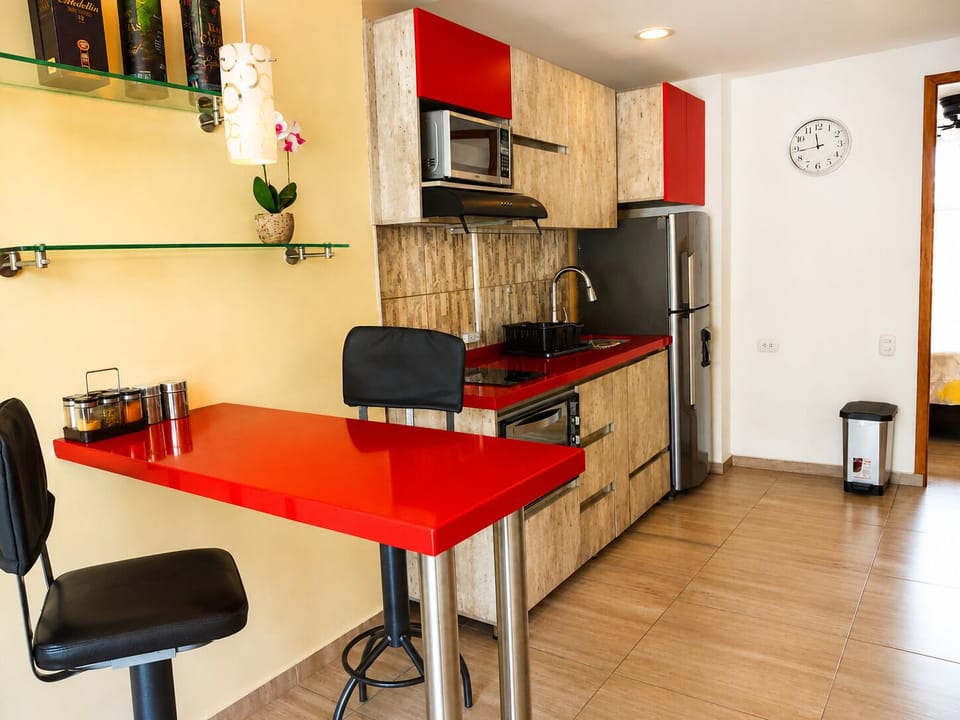 Full-size fridge, microwave, stovetop, rice cooker