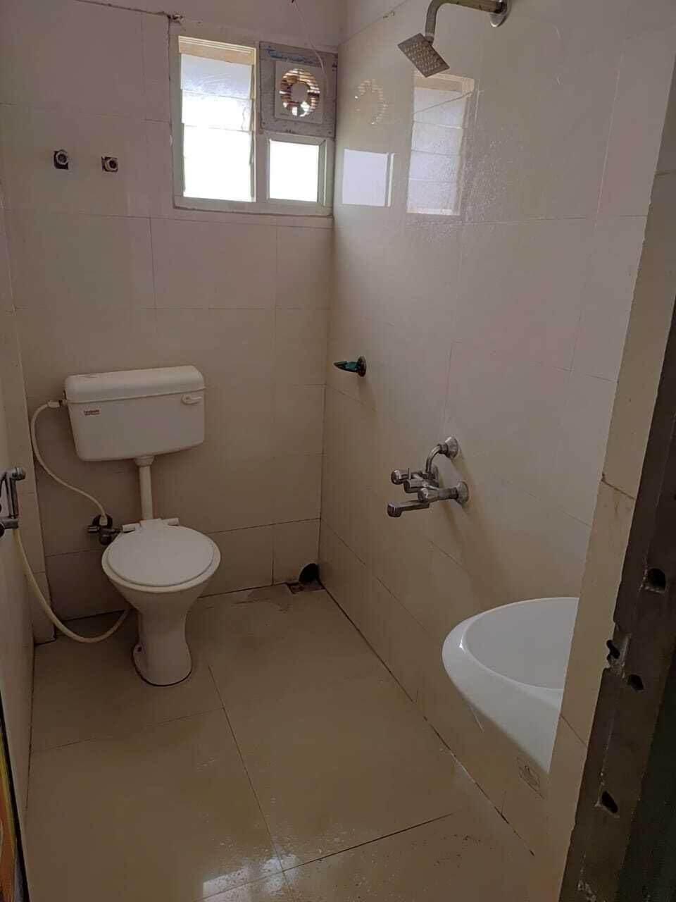 Shower, hydromassage showerhead, towels, toilet paper
