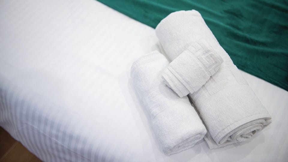 Room | In-room safe, iron/ironing board, free WiFi