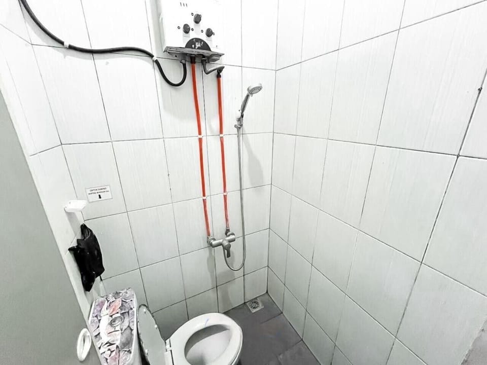 Shower, towels, toilet paper