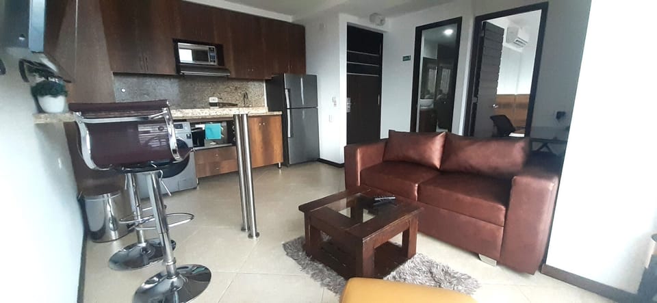 Apartment, City View | Private kitchen | Full-size fridge, microwave, stovetop, blender