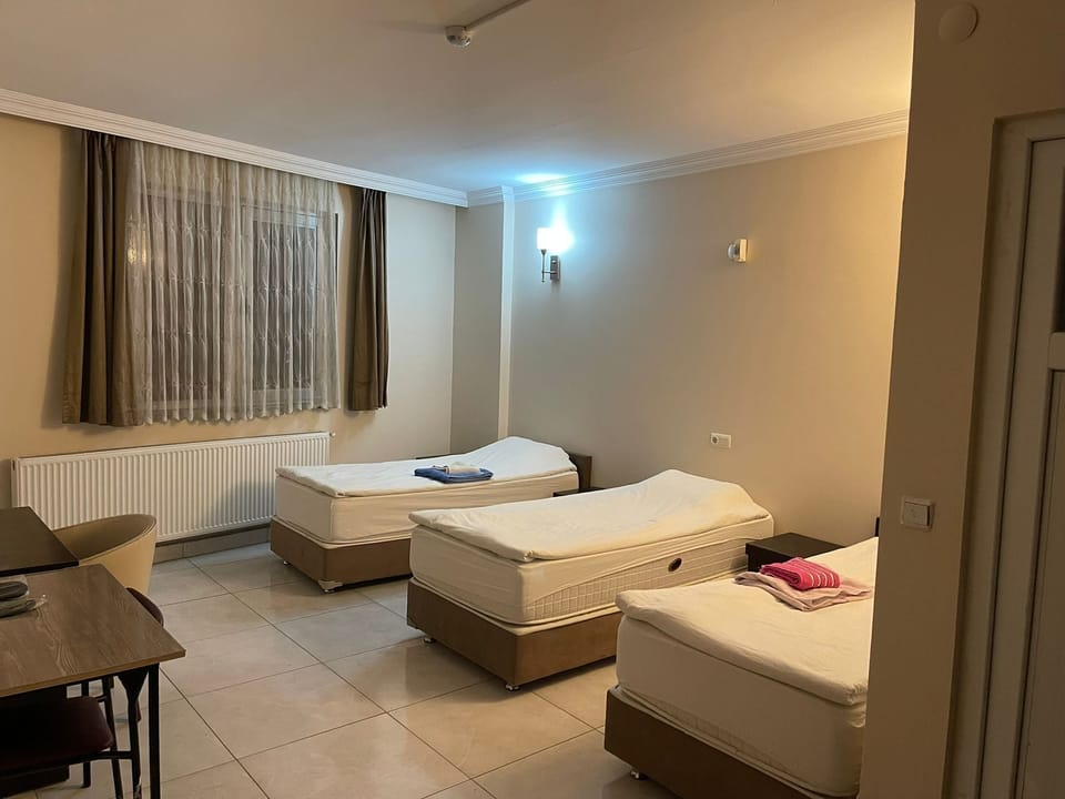 Classic Triple Room | Desk, WiFi (free)