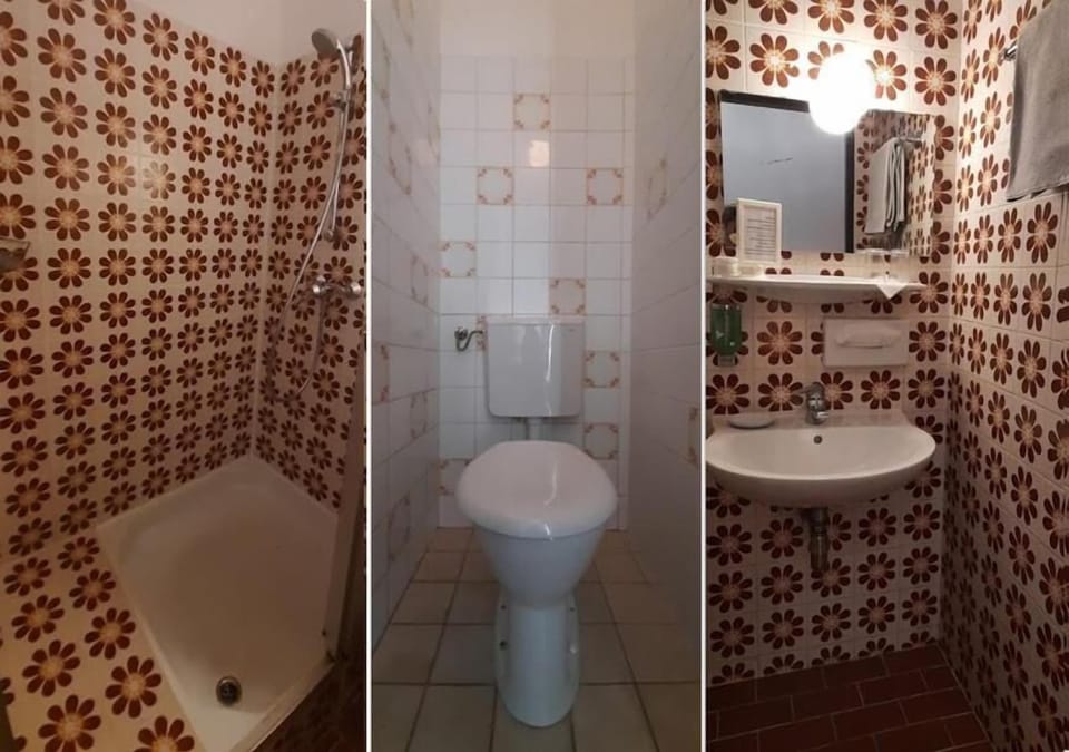 Shower, hair dryer