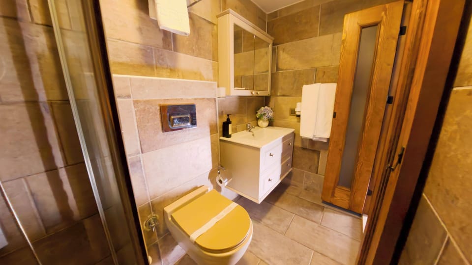 Eco-friendly toiletries, hair dryer, slippers, towels