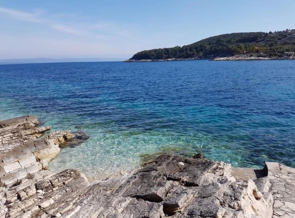 House (House B - 45 m from The Sea) | View from property