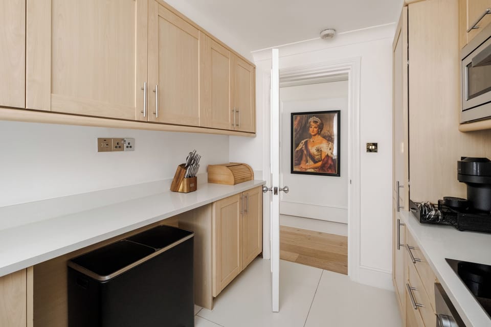 Luxury Apartment | Private kitchen | Full-size fridge, microwave, oven, stovetop
