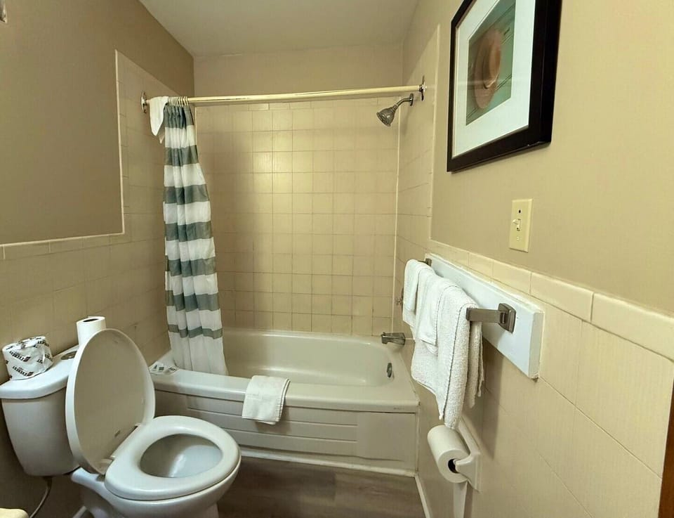 Room, 1 King Bed with Sofa bed, Non Smoking | Bathroom | Combined shower/tub, free toiletries, towels