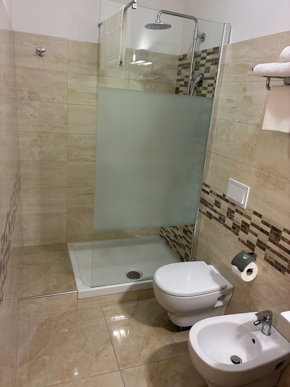 Shower, hair dryer, bidet, towels