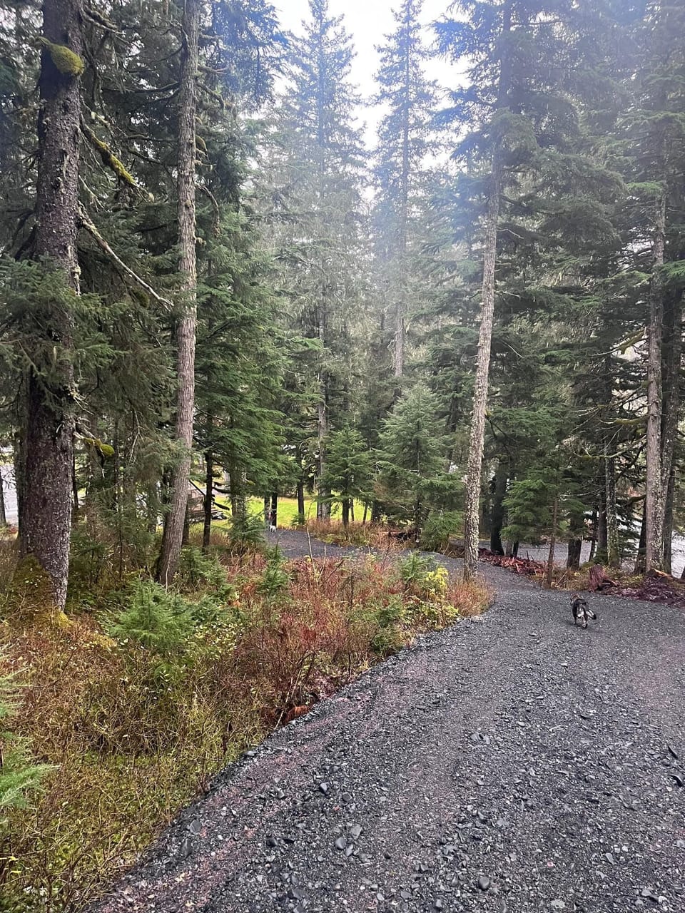 Basic Tent, 1 Queen Bed, Mountain View | Premium bedding, free WiFi, bed sheets