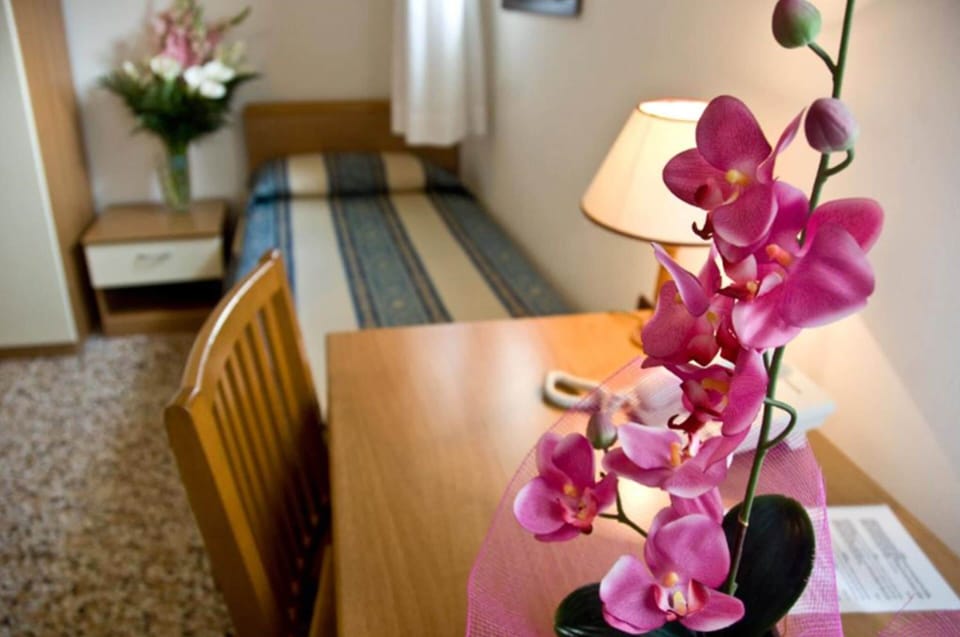 Single Room | In-room safe, desk, free WiFi, bed sheets