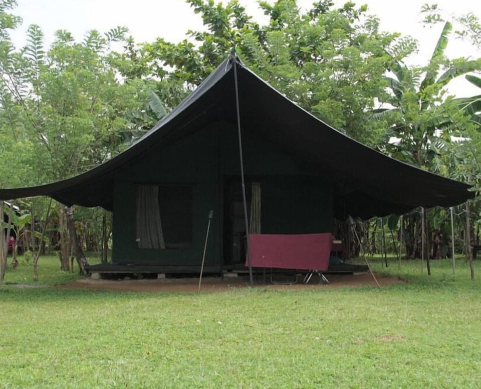 Free rollaway beds, free WiFi, bed sheets
