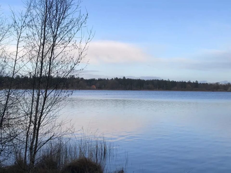 House | Water view