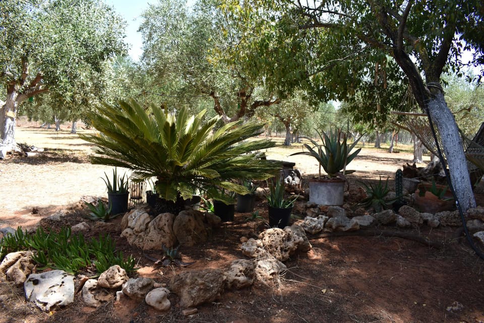 Cottage | Property grounds