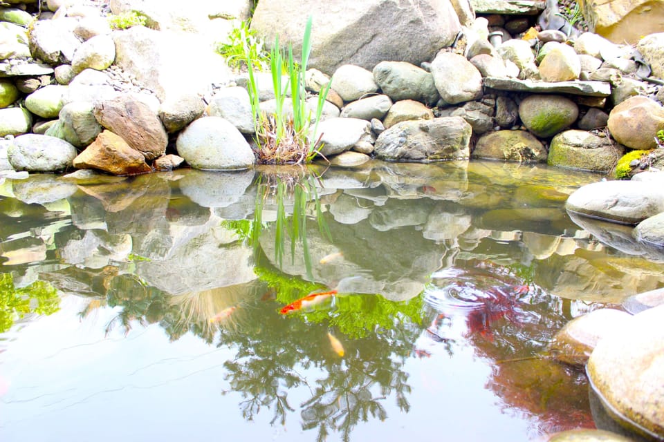 Body treatments, hot stone massages, deep-tissue massages