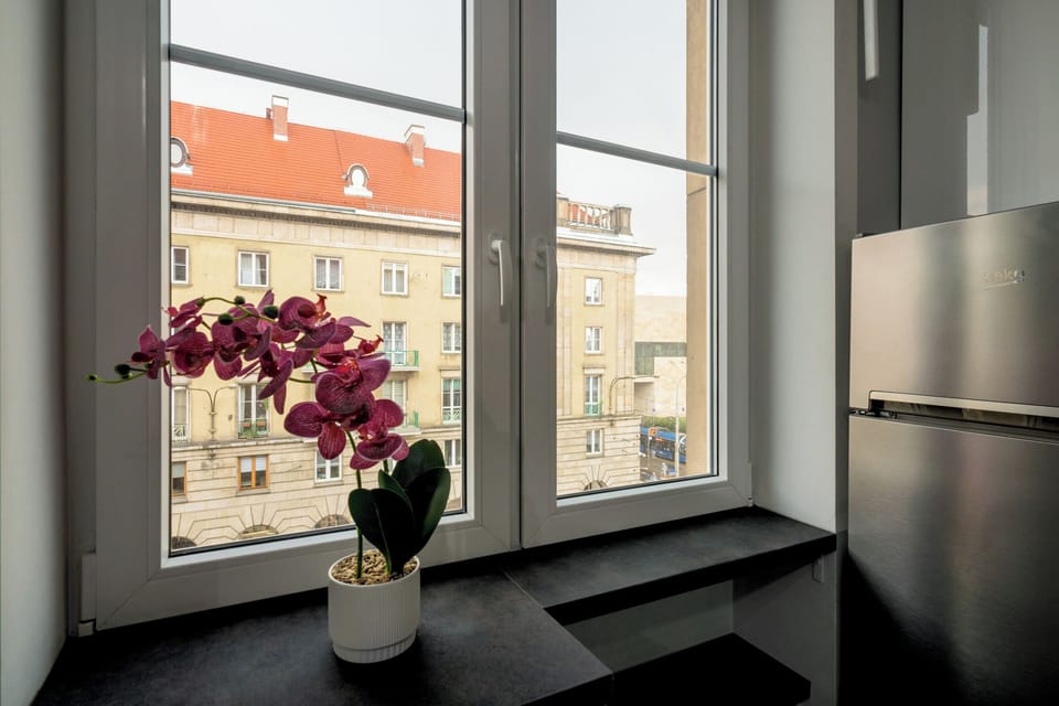 Apartment, City View | View from room
