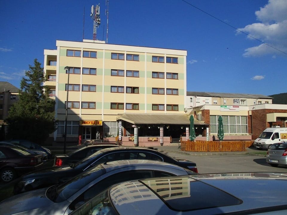 Hotel Dragana Cugir Hotel in Romania