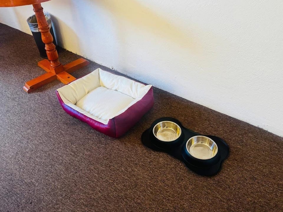 Pet-friendly amenities