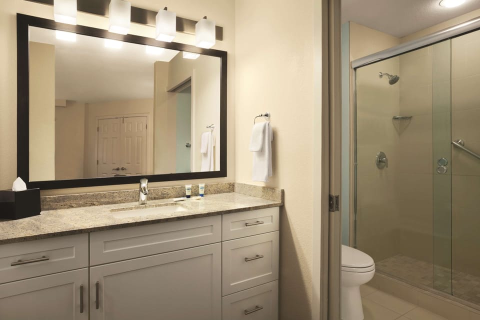 Designer toiletries, hair dryer, towels