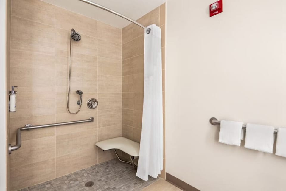 Standard Room, 1 King Bed, Accessible (Roll-In Shower) | Bathroom | Hair dryer