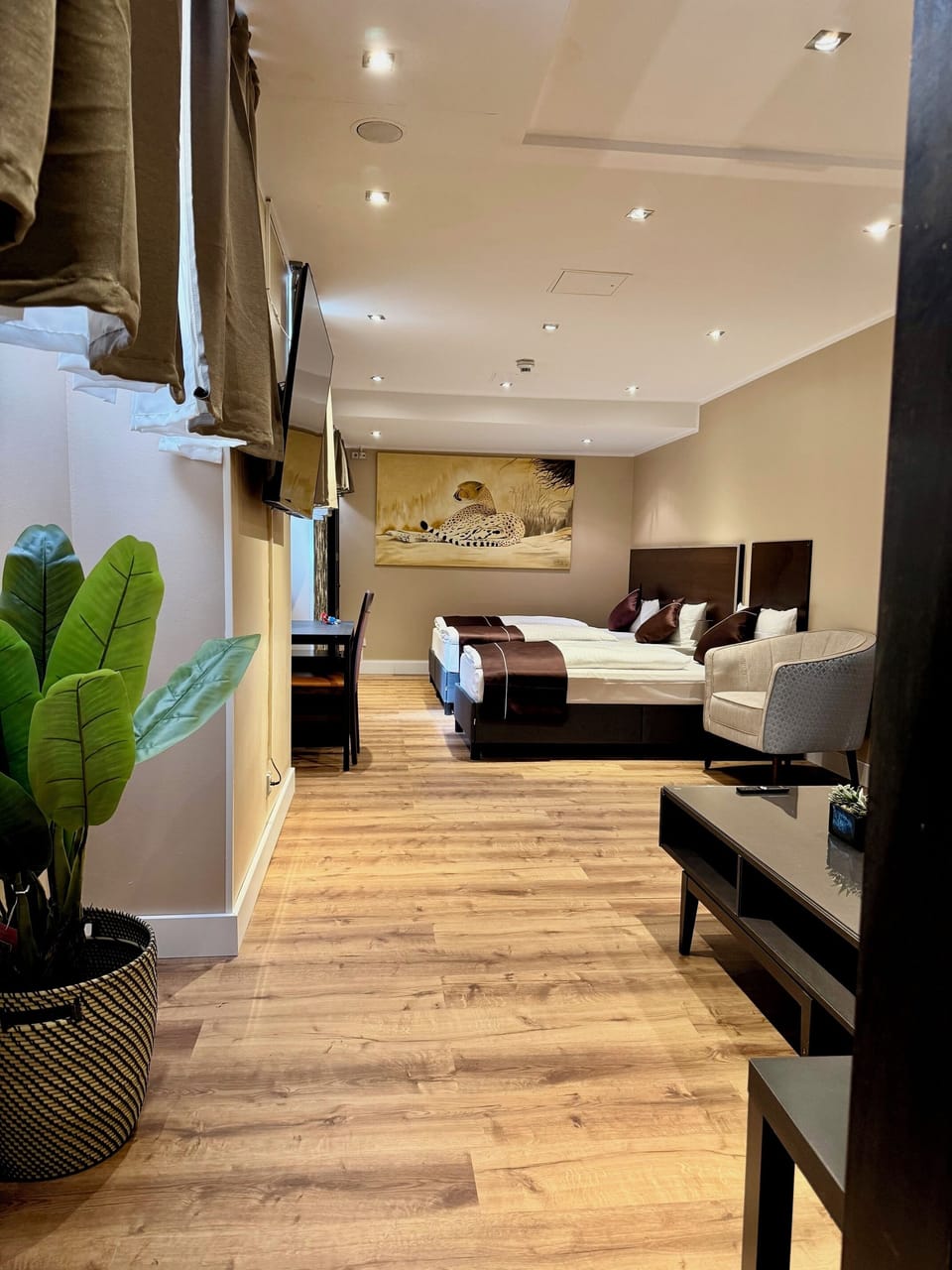 Exclusive Studio Suite | Hypo-allergenic bedding, in-room safe, desk, laptop workspace