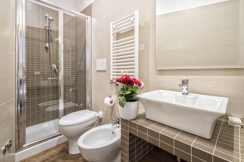 Shower, hair dryer, bidet, towels