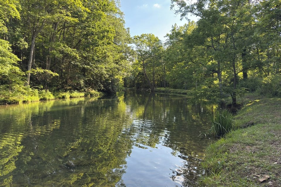 House (1 Bedroom) | Interior