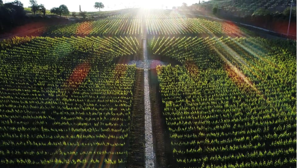 Winery