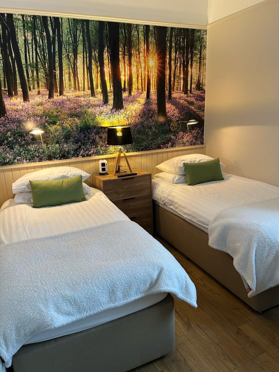 Twin Room | Desk, free WiFi